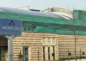 Uve Unite rileva il polo produttivo di Moncaro a Montecarotto per 3,9 milioni e punta al rilancio della filiera vitivinicola marchigiana