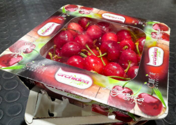 Orchidea Frutta lancia una nuova linea di packaging 100% carta per la frutta fresca