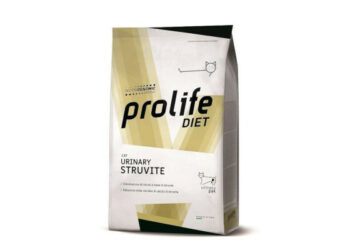 Prolife amplia l’offerta veterinaria per gatti con due nuove referenze dietetiche