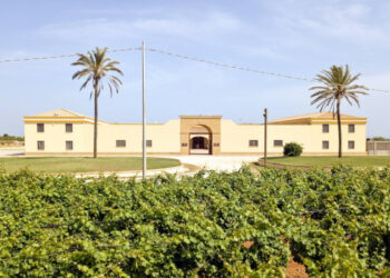 Tenuta Gorghi Tondi introduce il formato da 375 ml e rafforza il presidio nella ristorazione
