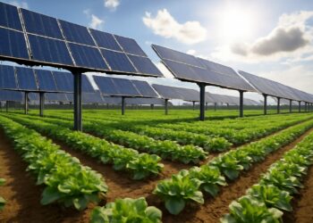 Unicredit finanzia con 93 mln euro Terra del Sole,  il più grande progetto italiano nell’agrivoltaico, promosso da NextEnergy Capital